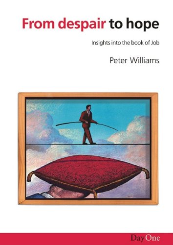 Stock image for From despair to hope: Insights into the Book of Job for sale by WorldofBooks