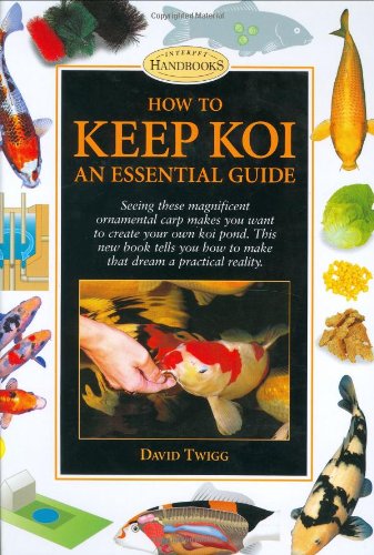 Beispielbild fr How to Keep Koi zum Verkauf von WorldofBooks