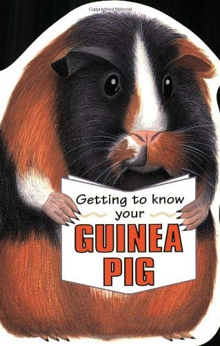 Stock image for Getting to Know Your Guinea Pig (Children's Pet S.) for sale by WorldofBooks