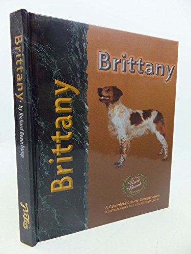 9781903098745: Brittany (Pet Love S.)