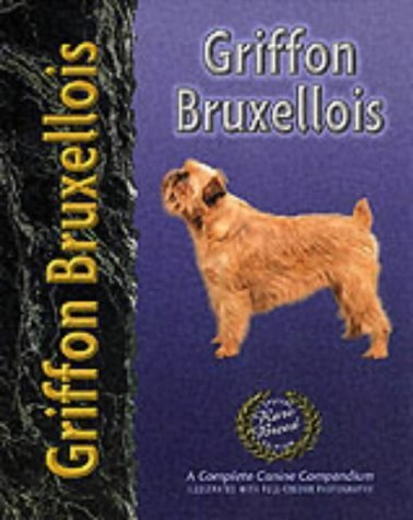 Griffon Bruxellois