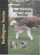 Imagen de archivo de Bedlington Terrier (Pet Love S.) a la venta por WorldofBooks