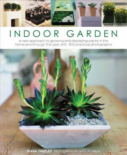 Stock image for Indoor Garden: A New Approach to Growing and Displaying Plants in the Home and Through the Year with 300 Practical Photographs for sale by ThriftBooks-Dallas