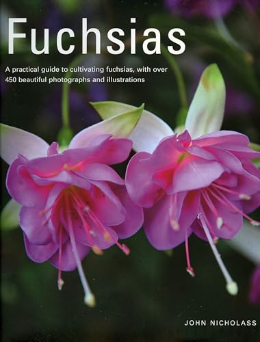 9781903141649: Fuchsias: A Practical Guide to Cultivating Fuchsias, With over 500 Beautiful Photographs and Illustrations