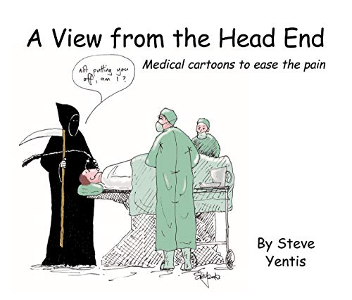 Imagen de archivo de View from the Head End: Medical Cartoons to Ease the Pain a la venta por WorldofBooks