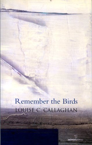 Imagen de archivo de Remember the Birds (Salmon Poetry) a la venta por Tall Stories BA