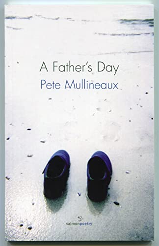 Stock image for A Father;s Day for sale by WorldofBooks