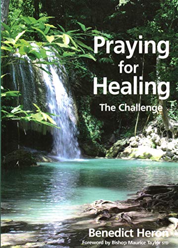Beispielbild fr Praying for Healing: The Challenge zum Verkauf von WorldofBooks
