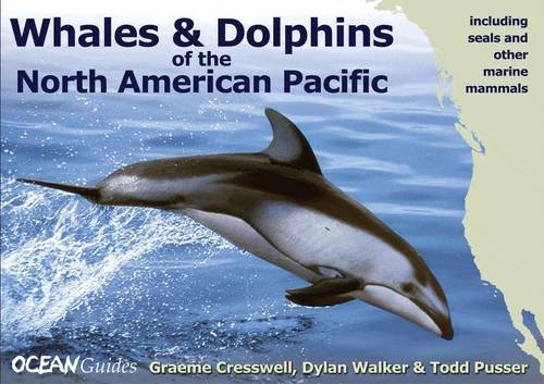 Stock image for Whales and Dolphins of the North American Pacific: Including Seals and Other Marine Mammals (WILDGuides) for sale by AwesomeBooks