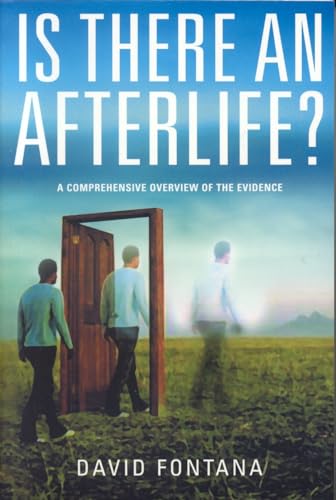 Beispielbild fr Is There an Afterlife?: A Comprehensive Overview of the Evidence zum Verkauf von WorldofBooks