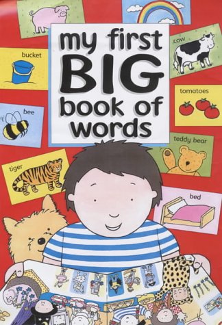 Beispielbild fr My First Big Book of Words zum Verkauf von WorldofBooks