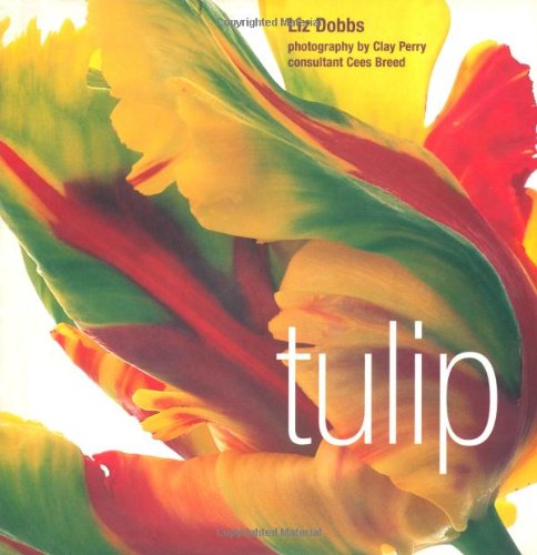 Beispielbild fr Tulip zum Verkauf von WorldofBooks