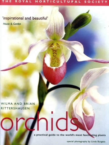 Beispielbild fr RHS Orchids: A Practical Guide to the World's Most Fascinating Plants (Royal Horticultural Society) zum Verkauf von AwesomeBooks