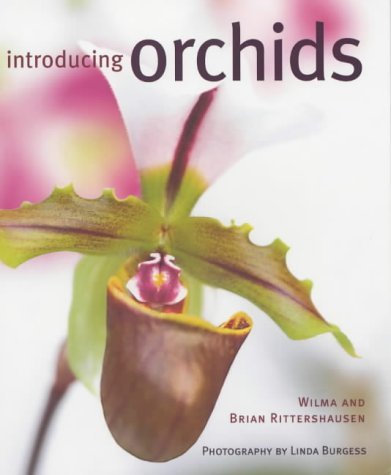 Beispielbild fr Introducing Orchids zum Verkauf von AwesomeBooks