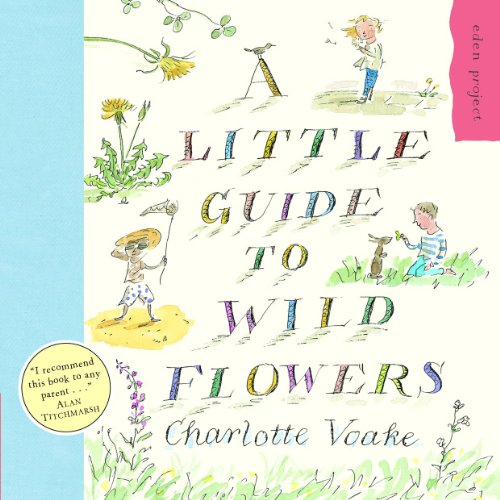 Beispielbild fr A Little Guide To Wild Flowers zum Verkauf von WorldofBooks