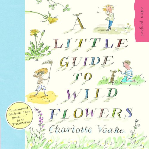 9781903919118: A Little Guide To Wild Flowers