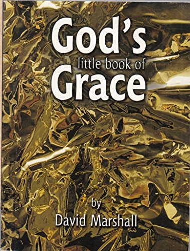 Beispielbild fr God's Little Book of Grace zum Verkauf von WorldofBooks