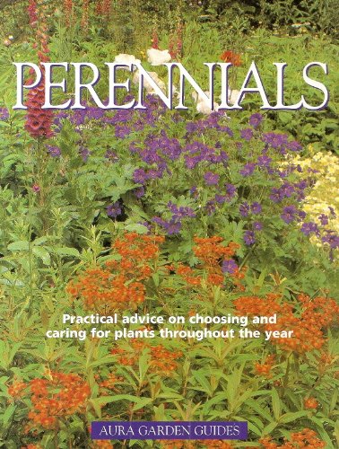 Beispielbild fr Perennials : (Aura Garden Guides :) zum Verkauf von WorldofBooks