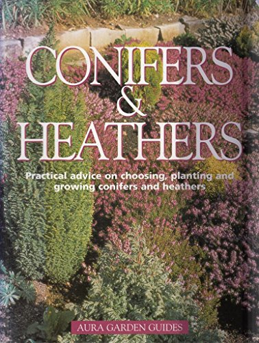 Stock image for Conifers & Heathers for sale by WorldofBooks