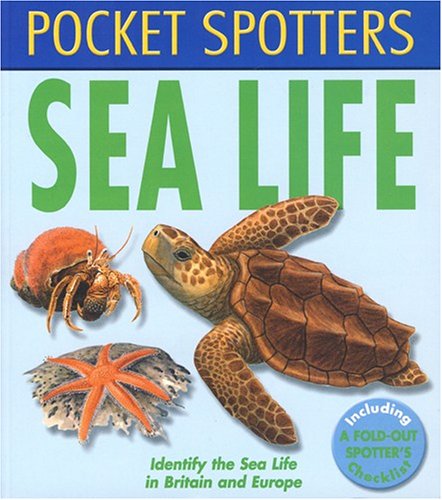 Stock image for POCKET SPOTTERS SEALIFE for sale by WorldofBooks