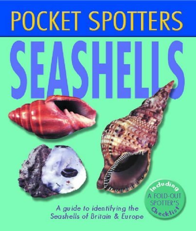 Stock image for POCKET SPOTTERS SEASHELLS for sale by WorldofBooks