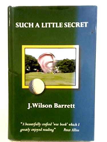 Stock image for Such a Little Secret for sale by Reuseabook