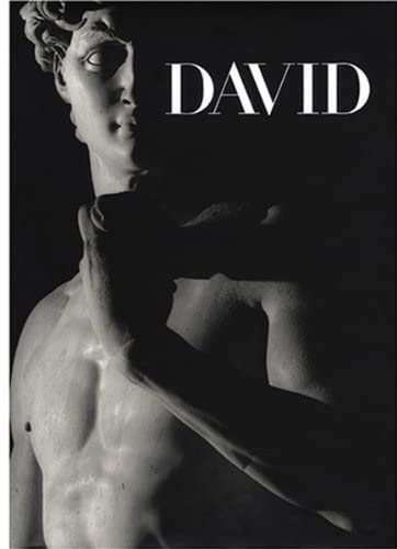Imagen de archivo de Michelangelo's David: From Symbol to Myth a la venta por HPB-Blue