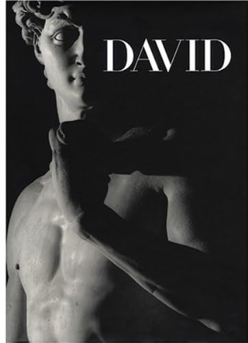 Stock image for Michelangelo's David: From Symbol to Myth for sale by HPB-Blue