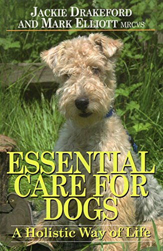 Stock image for Essential Care for Dogs: A Holistic Way of Life for sale by WorldofBooks