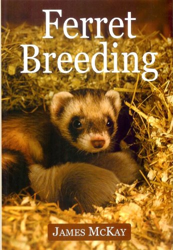 Stock image for Ferret Breeding for sale by WorldofBooks
