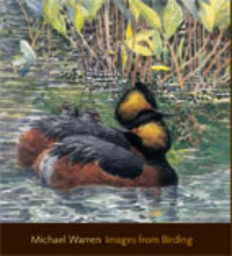 Stock image for Images from Birding: Observations of an Artist Birder. for sale by Anthony Vickers Bookdealer PBFA