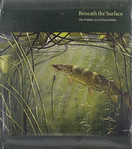 9781904078258: Beneath the Surface