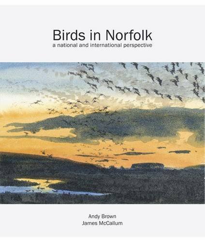 Stock image for Birds in Norfolk: A National and International Perspective: Vol. 22 (Wildlife Art Series) for sale by Anthony Vickers Bookdealer PBFA