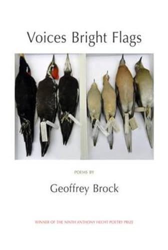 9781904130642: VOICES BRIGHT FLAGS: Poems