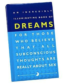 Beispielbild fr An Incredibly Illuminating Book of Dreams zum Verkauf von Goldstone Books