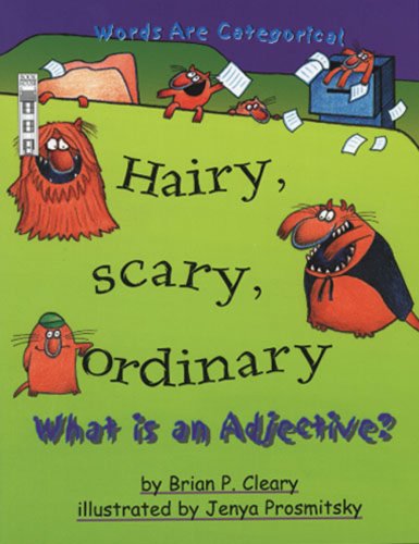 9781904194576: Hairy, Scary, Ordinary: What is an Adjective?: What Is an Adjective? (Words are categorical)