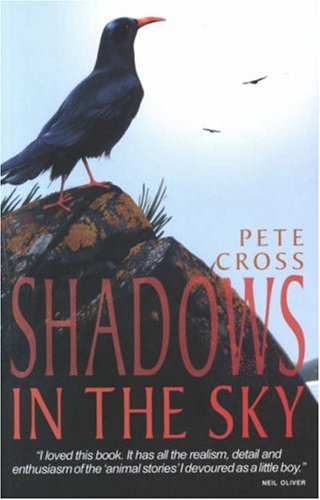 Stock image for Shadows in the Sky for sale by WorldofBooks