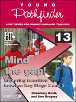 Beispielbild fr Mind the Gap!: Improving Transition between Key Stage 2 and 3 zum Verkauf von WorldofBooks