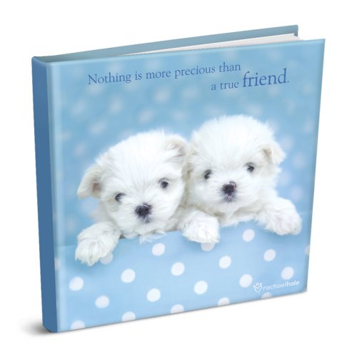 9781904264286: Nothing is More Precious Than a True Friend: 1 (Rachael Hale Giftbooks)