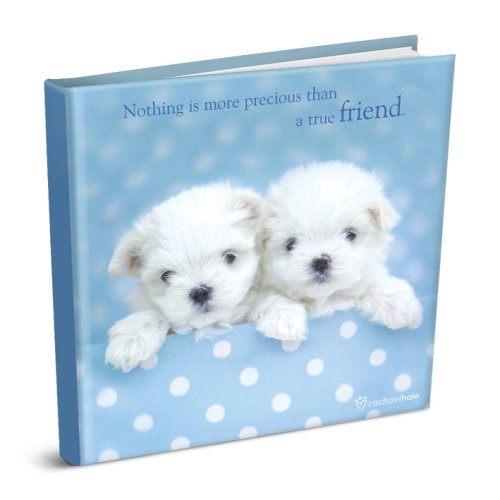 Stock image for Nothing Is More Precious Than a True Friend for sale by Book Express (NZ)