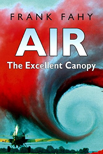 9781904275428: Air: The Excellent Canopy