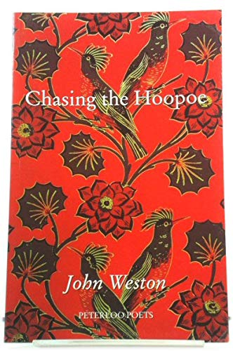 Beispielbild fr Chasing the Hoopoe zum Verkauf von WorldofBooks