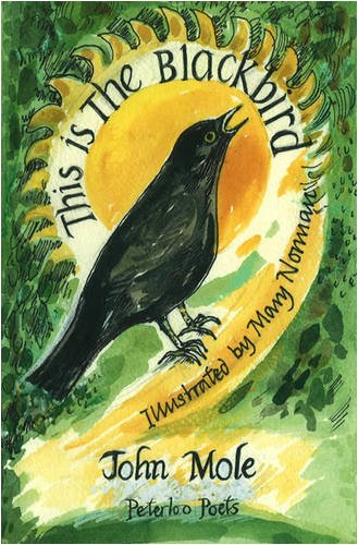 Stock image for This is the Blackbird for sale by WorldofBooks