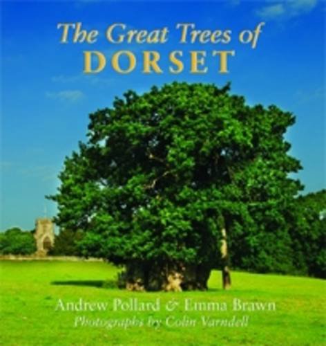 Beispielbild fr The Great Trees of Dorset zum Verkauf von WorldofBooks