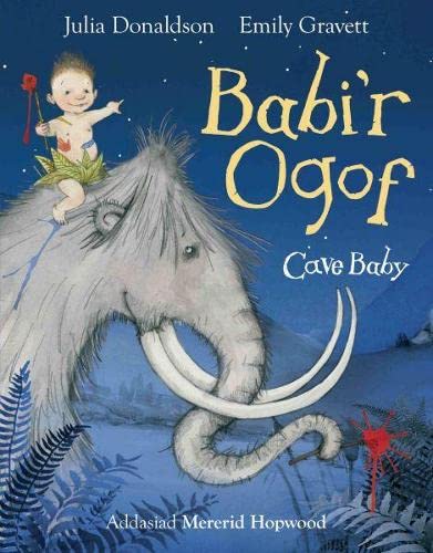 Stock image for Babi'r Ogof/Cave Baby for sale by WorldofBooks