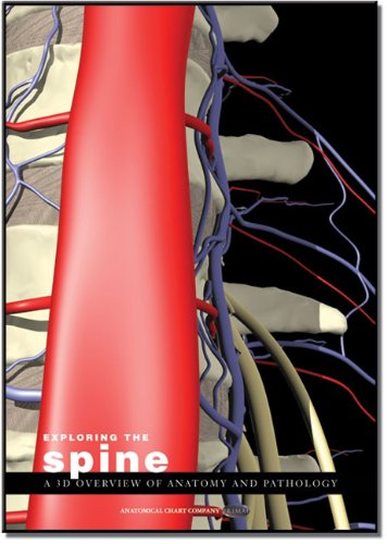 9781904369356: Exploring the Spine: a 3D Overview of Anatomy and Pathology