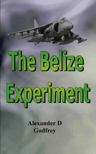 Stock image for The Belize Experiment for sale by Broadleigh Books