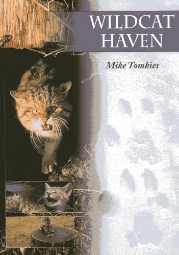 Stock image for Wildcat Haven for sale by WorldofBooks
