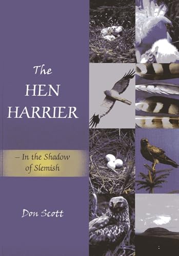 The Hen Harrier: In the Shadow of Slemish (9781904445937) by Scott, Don