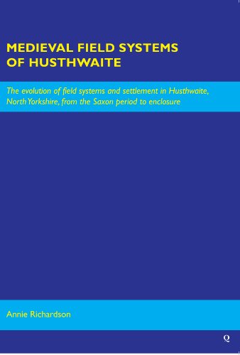 Stock image for Medieval Field Systems of Husthwaite: The Evolution of Field Systems and Settlement in Husthwaite, North Yorkshire, from the Saxon Period to Enclosure for sale by AwesomeBooks